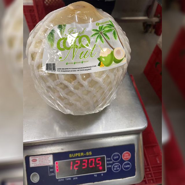 Young Coconut Fresh Sri Lankan Natural Fresh coconut quality variety 9 pieces box Organic Pulp - Image 3