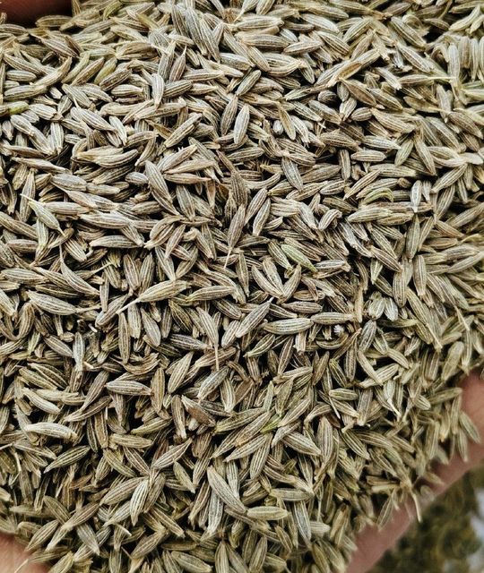 A grade Cumin Seeds – product photo 2, product detail gallery
