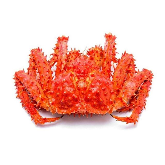 Live Red King Crab bulk supply wholesale premium quality seafood - Image 2