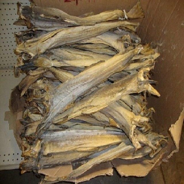 Norway Dry Stockfish for Sale / Dried StockFish / Frozen Stock Fish - Image 2