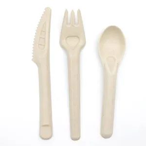 Sugarcane Pulp Spoons Disposable Biodegradable Paper Spoons Cutlery - Image 4
