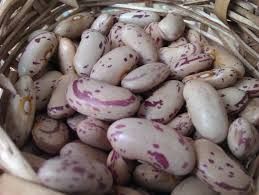 Light Speckled Kidney Beans For Sale - Image 3