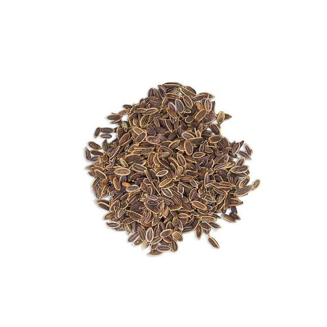 High quality dill seed available in bulk for wholesale supply - Image 3