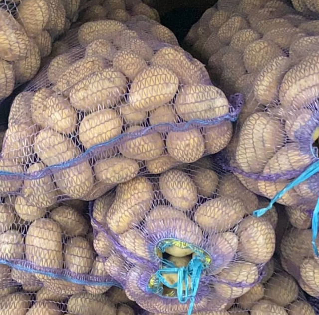 Ready for Global Markets Russet Burbank, Russet Norkotah Potatoes Carefully Harvested Packed in 10kg & 20kg Mesh Bags - Image 3