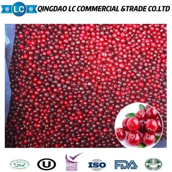 Competitive Price Bulk Frozen IQF Fresh Fruits Red Lingonberry - Image 5