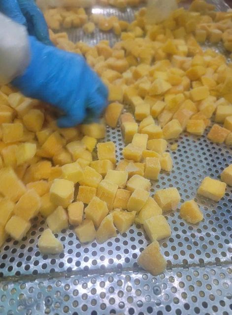 Frozen IQF Catchu Mango – Sliced & Diced | Vietnam Bulk Export Supplier - Image 3