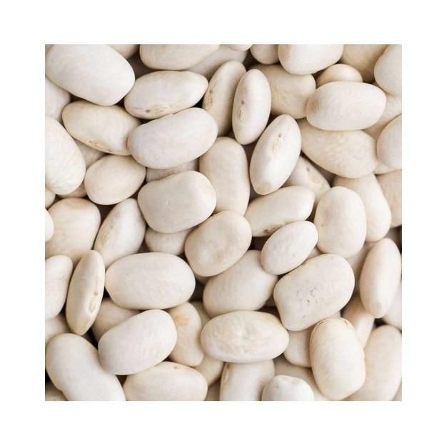 Butter Beans Organic Quality Grade A Type Butter Bean Max. Moisture (%) - Image 1