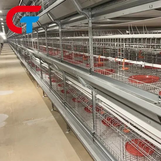 H Frame Automatic Feeding System Farming Poultry Equipment Battery Cage - Image 3