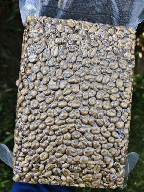 Specialty Coffee Beans - Image 1