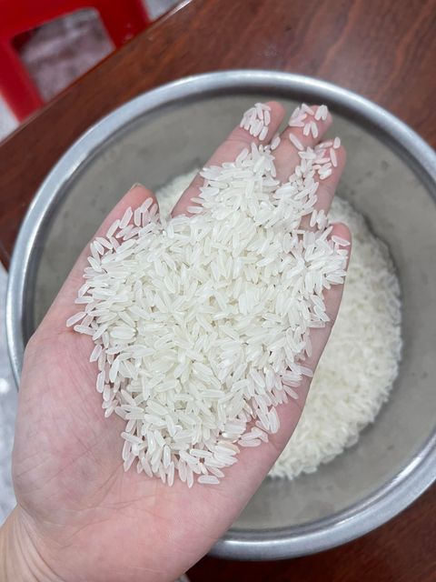 JAPONICA RICE 3% BROKEN ROUND GRAIN RICE BIG SIZE VIETNAM ORIGIN GOOD QUALITYREASONABLE PRICE Riz Arroz whatsap 0084 989 322 607 – product photo 6, product detail gallery