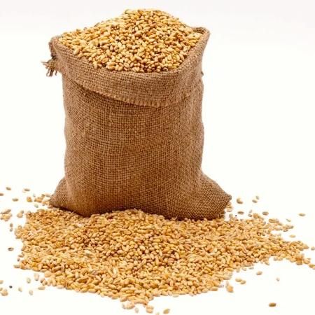 Barley Grains Premium Barley Seeds/Animal Feed Barley - Image 4