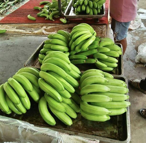 Best Quality - fresh Green Banana - Tropical BANANA Style Cavendish customized packaging - Natural Green Bananas - Image 5