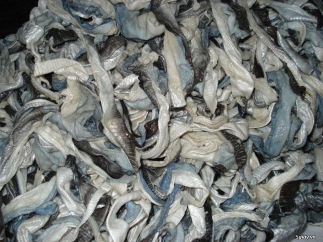 Dried fish / Dried steamed round scad - Image 6