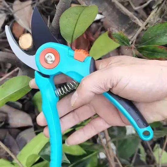 Sk5 Thick Branch Shears and Garden Scissors Origin China Brand Yining Color Colored Condition New Size ≥8 Inches Feature - Image 6