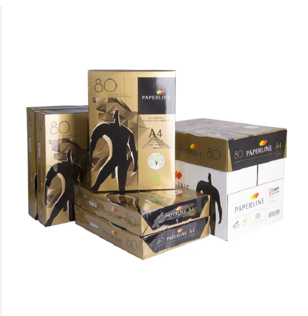 Premium Paperline A4 Paper Bulk Supply For Offices Schools Businesses Printing Projects And Daily Documentation Needs - Image 4