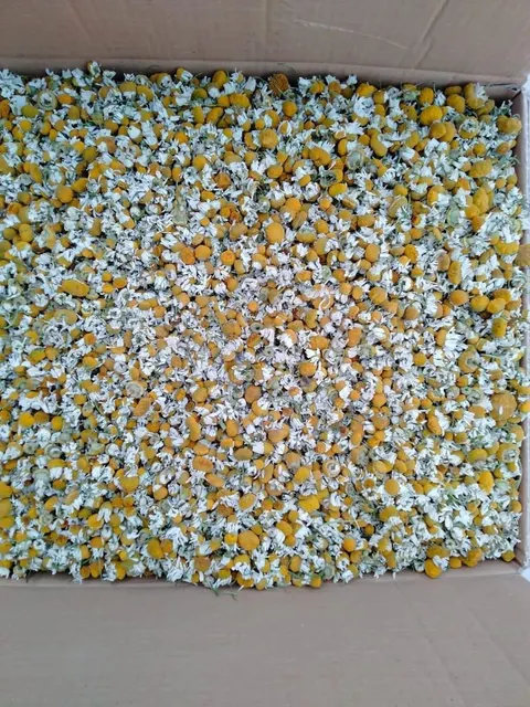 Chamomile Flowers, Egyptian Chamomile, Dried Chamomile, Herbal Tea Ingredients, Chamomile Tea, Medicinal Herbs, Bulk Chamomile Flowers. - Image 4