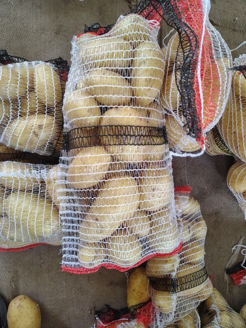 Quality fresh onion and potatoes – product photo 7, product detail gallery