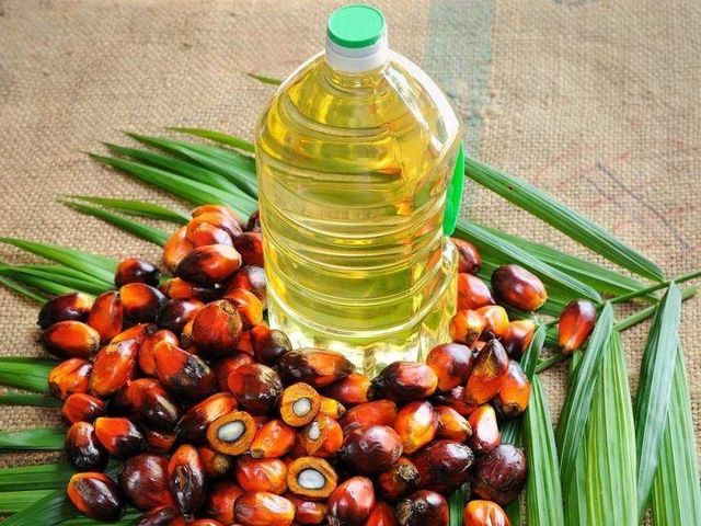 Refined Edible Palm Oil for Large Volume Food Manufacturing and Commercial Kitchen Processing - Image 4