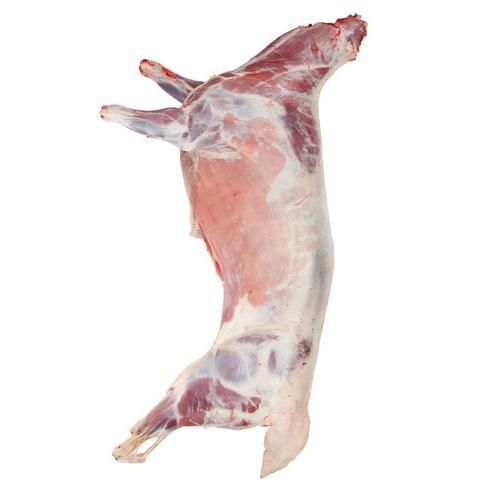 Fresh Meat - Image 1