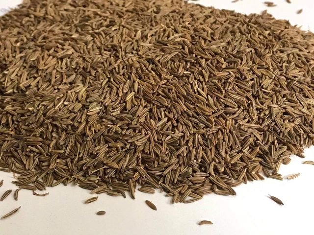 Caraway Seeds – Premium Export Grade Origin Egypt Delivery Form Bag, Sacks Form Ground Seeds, Whole Seeds Features Fair Trade, Organic, Without Additives - Image 4