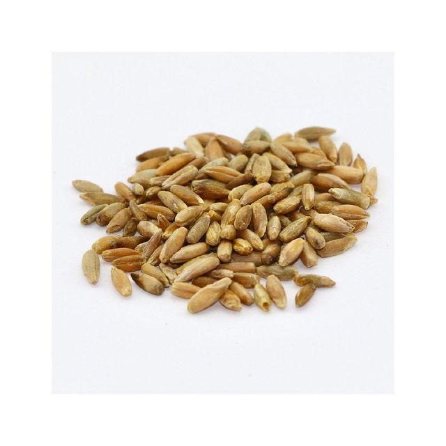 Wholesale rye grain bulk supply for flour mills and food industry - Image 1