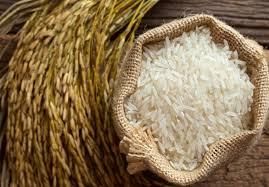 Vietnamese Long Grain White Rice 5% Broken (New Crop). – product photo 4, product detail gallery