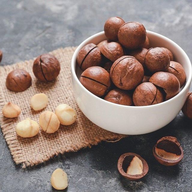 High Quality Premium Grade Macadamia Nuts in Shell Dried Raw 25kg Packaging Great Value for Money - Image 2
