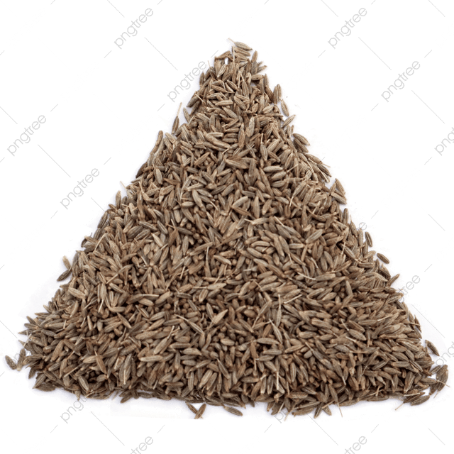 CUMIN SEEDS  Whole Cumin  Jeera Zeera  Cumin (Whole) Jeera (जीरा)  Zeera Indian Cumin Seeds  White Cumin Seeds  Natural Cumin Seeds  Machine Cleaned Cumin  Sortex Cleaned Cumin  Premium Grade Cumin Seeds  Food Grade Cumin Seeds - Image 3