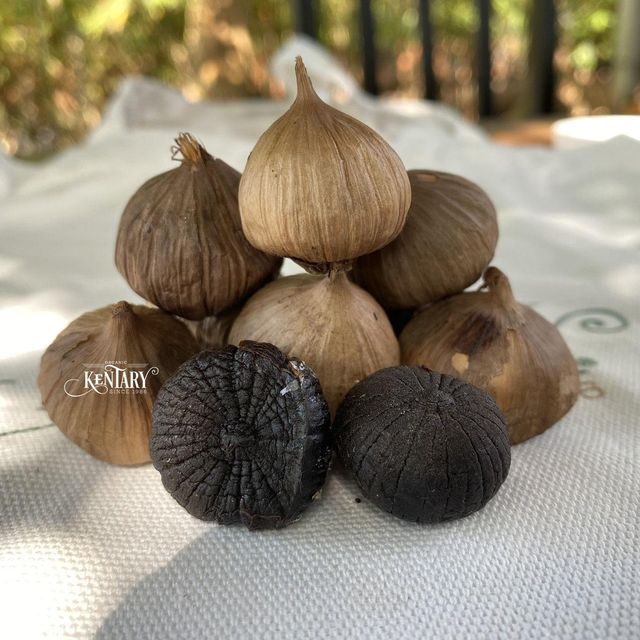 Kentary Solo Black Garlic - Image 2