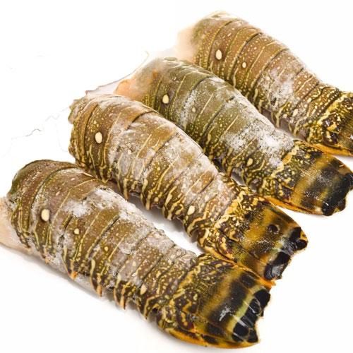 Hot Selling Seafood Fresh and Frozen Lobster, Lobster Tails For Sale - Image 4