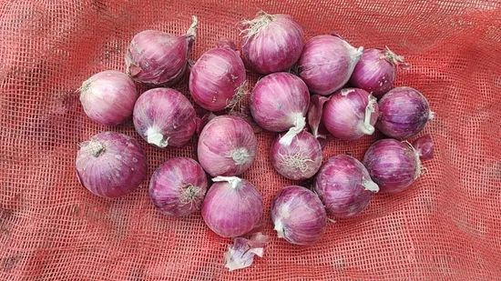 Fresh Small Size Red Onion with Best Quality Color Red Type Fresh Origin China Shape Oval,Flat Trademark Manhing HS Code 0703101000 - Image 2