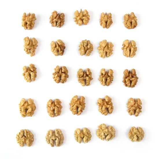 Brain Health Raw Nuts Snacks Walnut Kernel 20FT 8mt Storage Shade Trademark sugo Processing Raw Origin Xinjiang Model NO. - Image 1