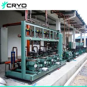 Refrigeration Compressor Rack Systems Condensing Unit Rack Manufacturers - Image 5