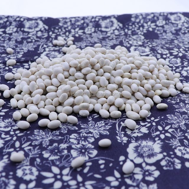 Wholesale Dried Organic Long Shape Bulk White Kidney Bean Butter Beans - Image 3