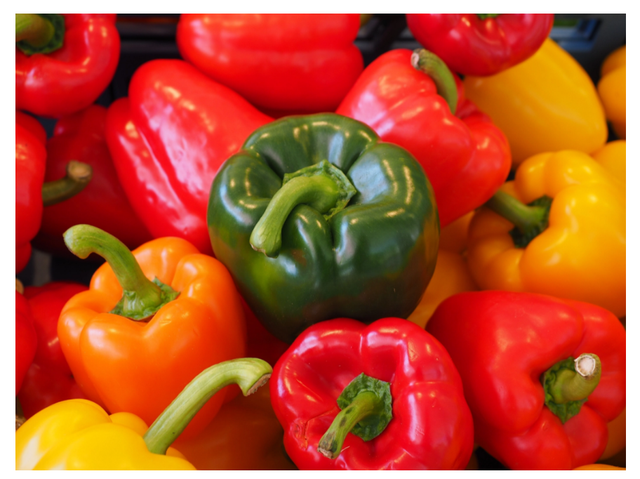 Capsicum Type Capsicum Color Fresh Organic Variety Bell - Image 1