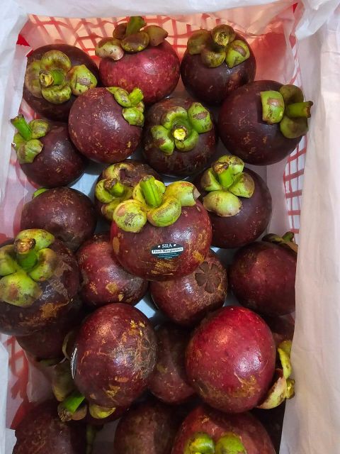 Premium Indonesia Fresh Mangosteen with Fresh Green Petal Shape Spherical Origin Indonesia Texture Soft And Creamy Place of Origin Indonesia - Image 4