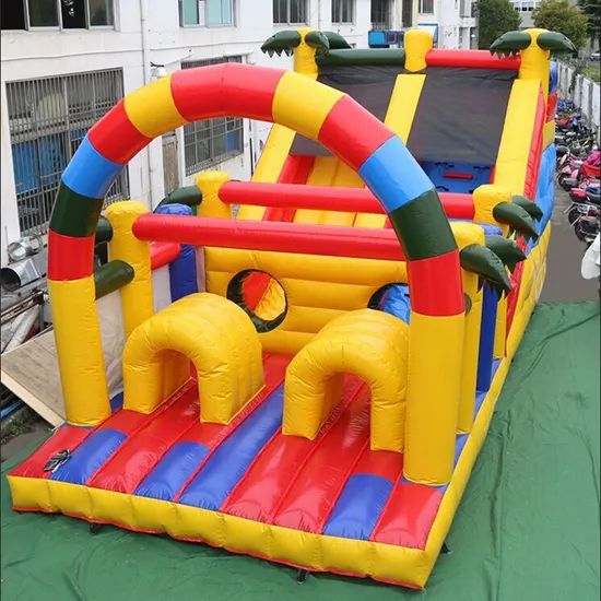 Custom Inflatable Water Slide for Adults and Kids Inflatable Slide - Image 2