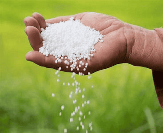 Bulk Urea 46 White Prilled Low Moisture 0.5% For Long Storage And Agriculture Use Sale - Image 2