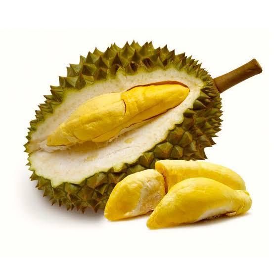 FRESH DURIAN/ DRIED DURIAN/ FROZEN DURIAN Shelf Life 2 YEARS Place of Origin THAILAND - Image 2