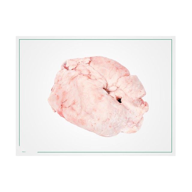 Frozen Lamb Tail Fat ideal for traditional dishes Cut Belly Freshness Level Frozen Features No Preservatives Degree of Processing Cured - Image 5
