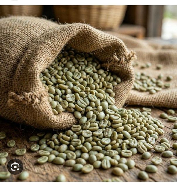 A grade Uganda specialty Arabica green coffee Bean Type Arabica Degree of Processing Raw - Image 1
