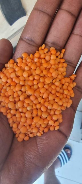 Red split lentil (Masoor dal) Grade A grade Flavor Mild, Earthy Color Bright Orange-red Packaging 25-50 kg bages Cooking Time Less Than 20 Minutes - Image 1
