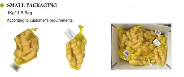 2026 Fresh Ginger Cheap Price Supplier High Quality Ginger Wholesale Price Export to Egypt - Image 3