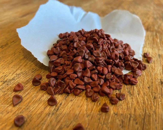 Bulk Whole Annatto Seeds for Natural Food Dyes Premium Quality Indian Achiote 2-5 mm Low Impurity Export from USA - Image 3