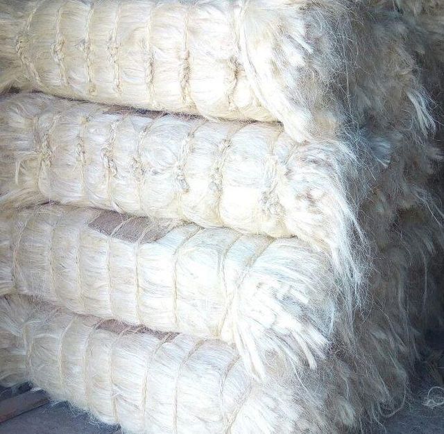 Sisal Fibre : Raw White, Natural, 110-130 cm, 0.35 Micron, For fabric Suppliers - Image 2