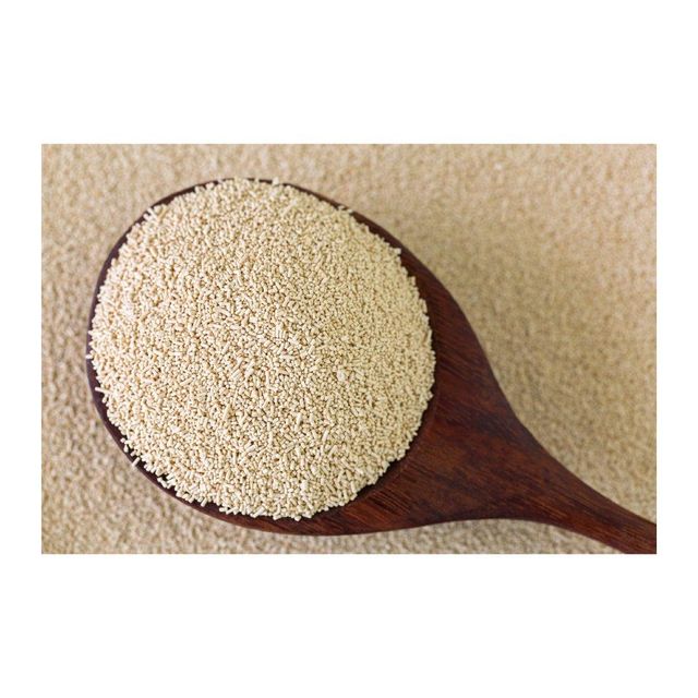 Top Baker Instant Dry Yeast 1 Lb SAF Instant Dry Yeast /Best Brand Instant Dry Yeast 20 x 1 Lb Packaging For Sale Bakery instant dry yeast Yeast Extract Powder Instant dry Yeast - Image 4