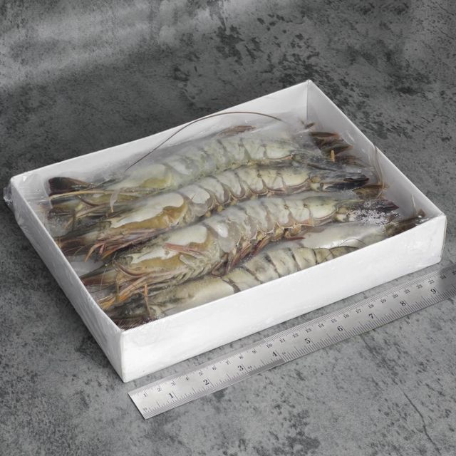 Frozen Fresh Shrimps Rich In Protein With Clean Processing Standards And Reliable Cold Chain Distribution Support - Image 3