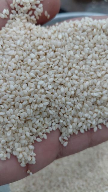 Sesame Seeds Quality SGS Port Karachi Features Vegan Origin Pakistan Purity High Purity Oil Content 48–52% Gmo Status Non-gmo - Image 4