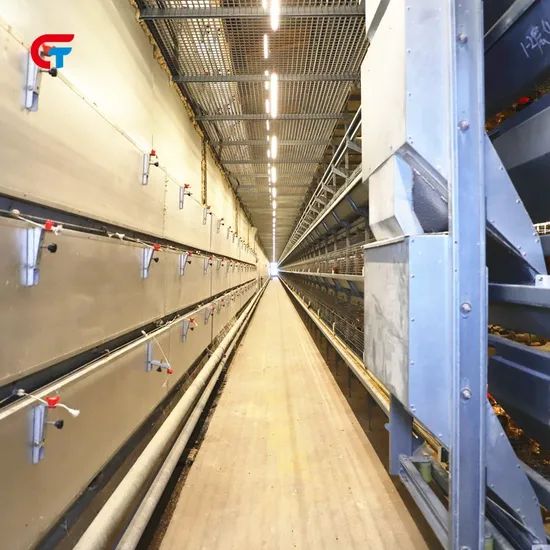 Battery Automatic Factory Made 2024 New Design Poultry Farm Layer Cage - Image 6