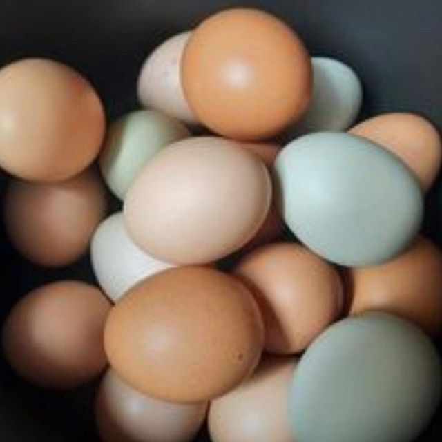 Farm Direct Fresh Table Eggs Supplied In Premium Cartons For International Buyers With Stable Poultry Source - Image 2
